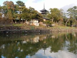 猿沢の池と興福寺の塔